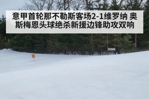 意甲首轮那不勒斯客场2-1维罗纳 奥斯梅恩头球绝杀新援边锋助攻双响
